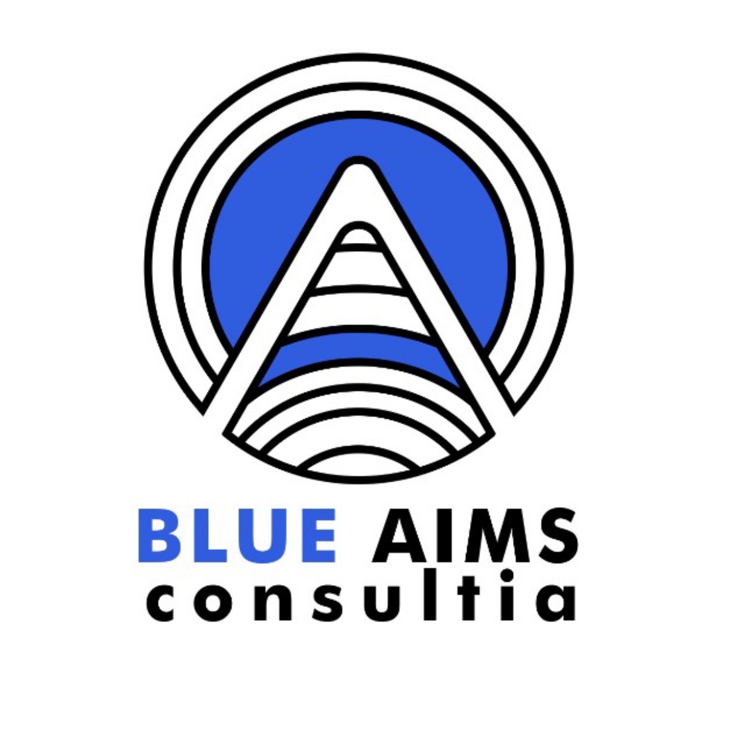 Blue Aims Consultia Ltd